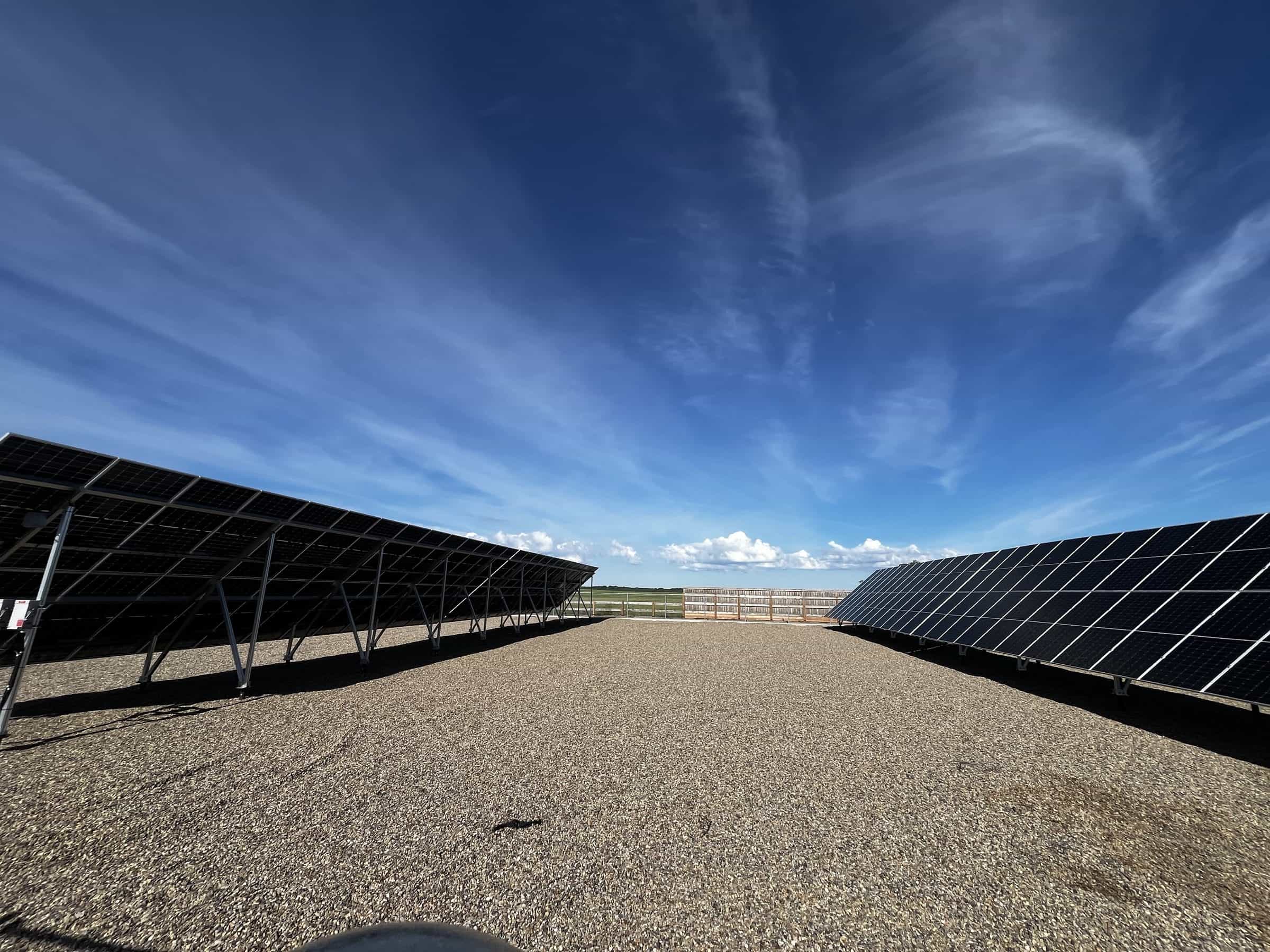 Two rows of ground-mount solar panels on the Doug Robertson farm near Swift Current, under a wide prairie sky