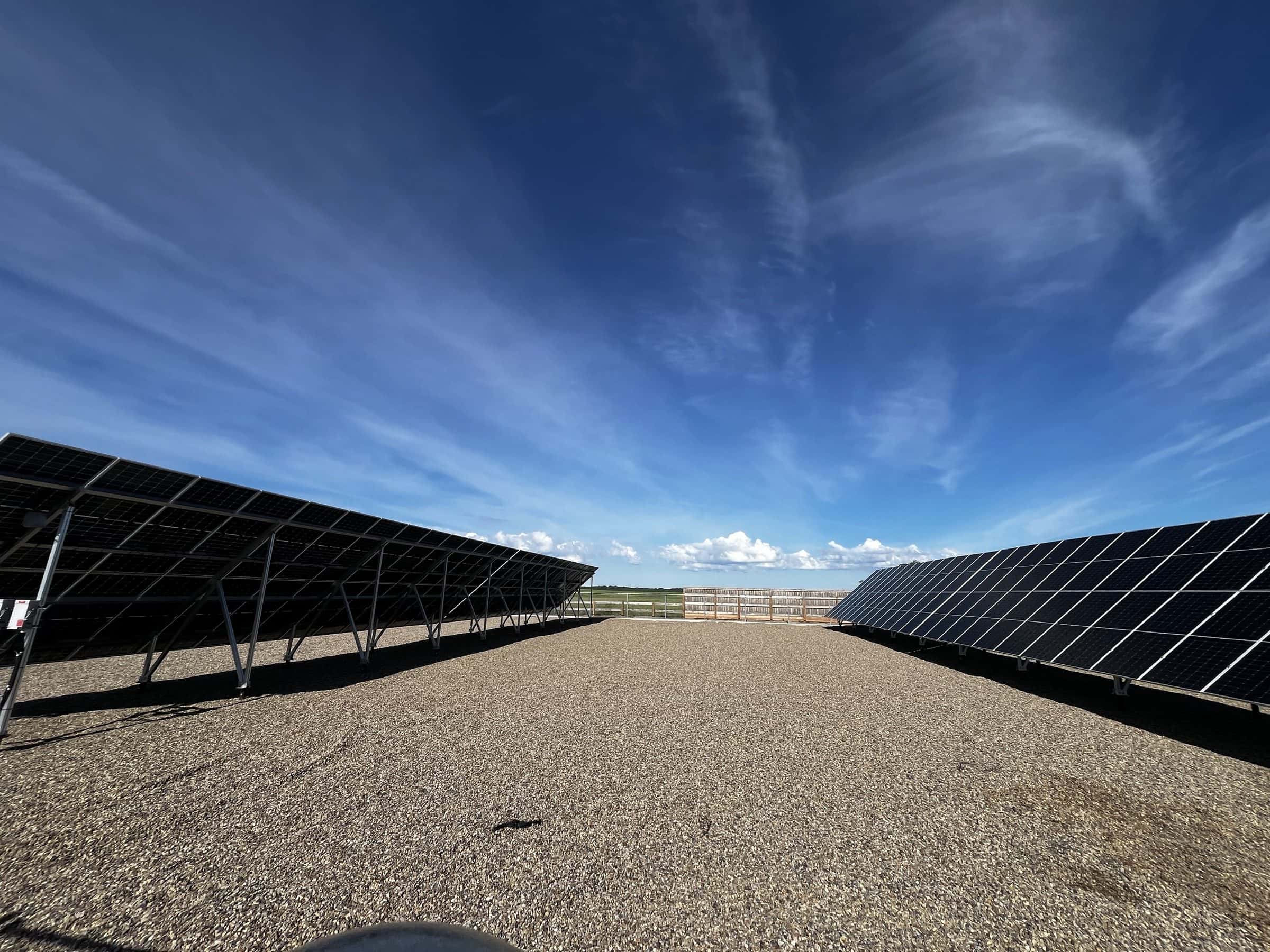 Two rows of ground-mount solar panels on the Doug Robertson farm near Swift Current, under a wide prairie sky
