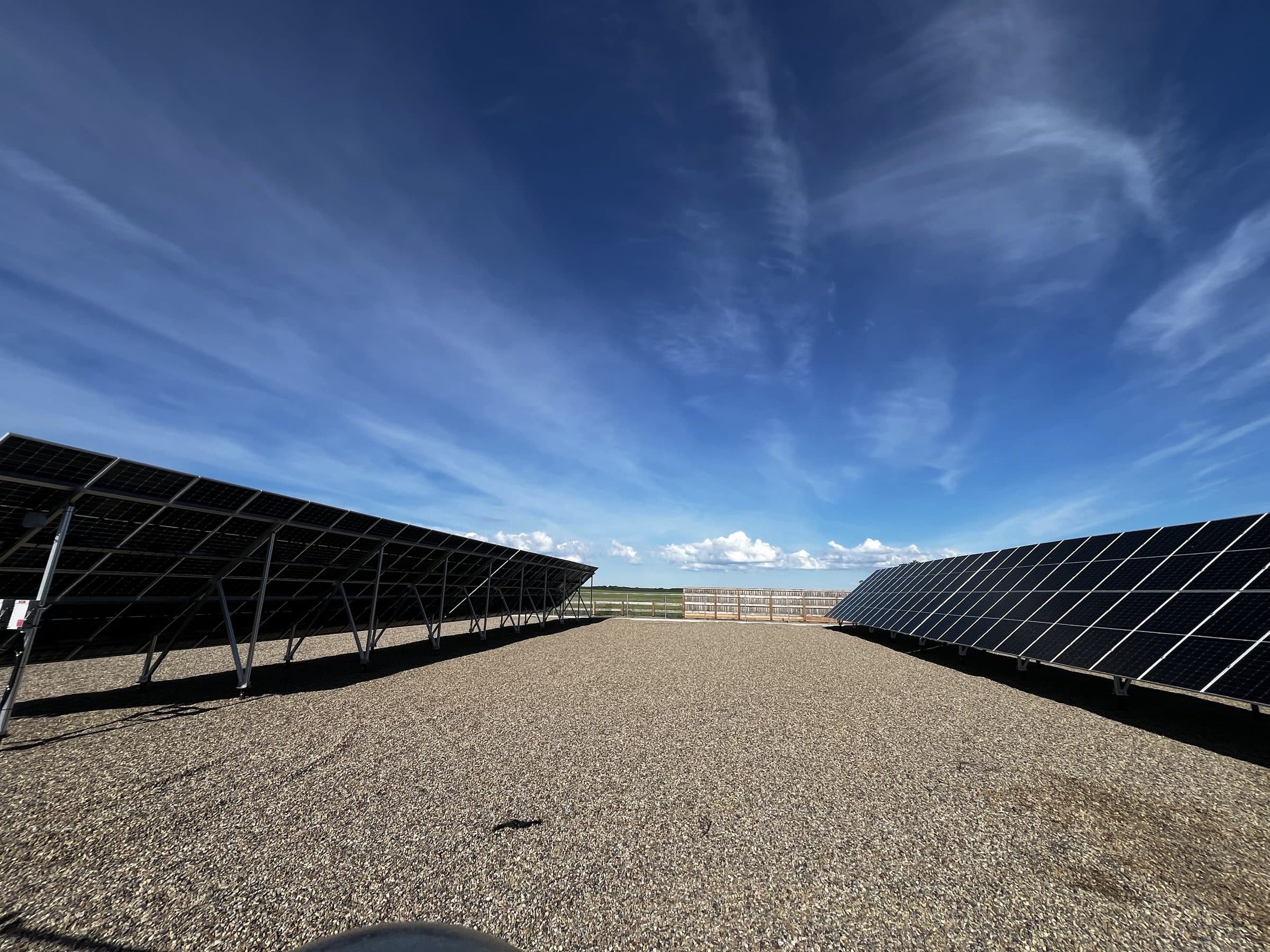 Two rows of ground-mount solar panels on the Doug Robertson farm near Swift Current, under a wide prairie sky